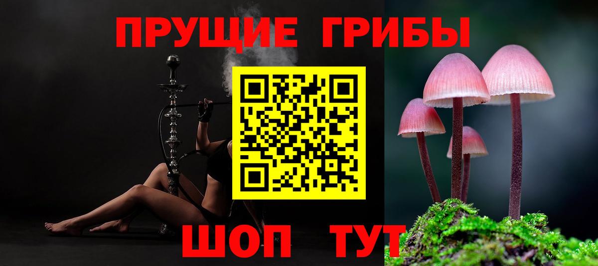 Усть-Кут  Псилоцибиновые грибы Cubensis  Вход с VPN  Галлюциногенные грибы Psilocybine cubensis 